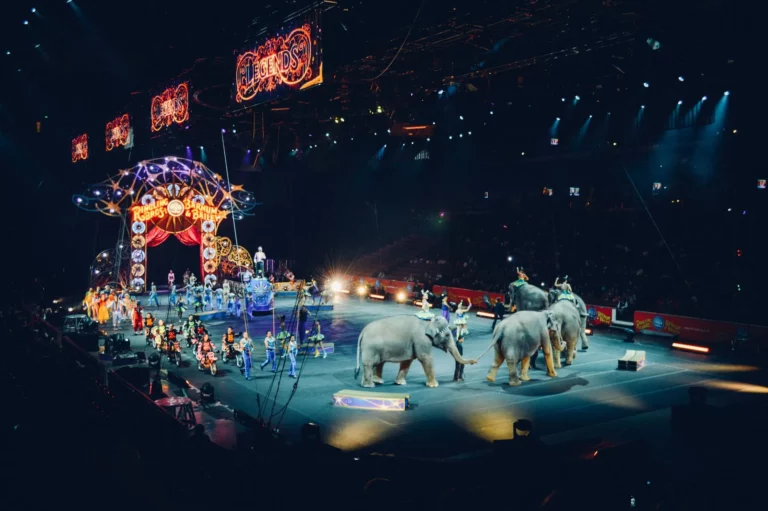 Malaysia's Most Thrilling Circus Acts